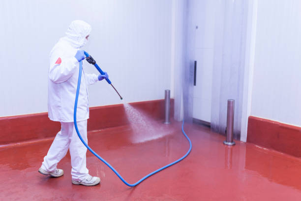 Best Parking Lot and Garage Cleaning  in Fountain Inn, SC