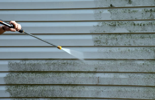 Best Driveway Pressure Washing  in Fountain Inn, SC