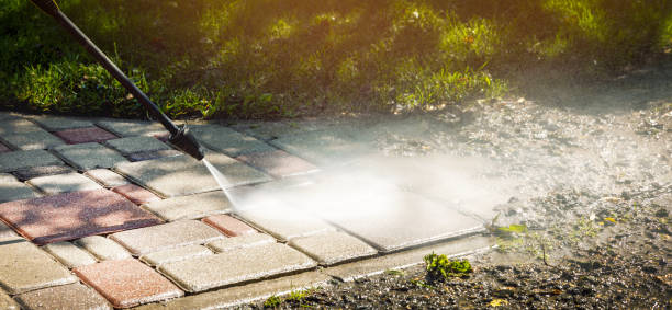 Best Roof Washing  in Fountain Inn, SC