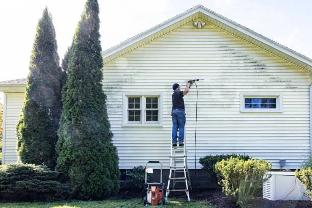 Animal Enclosure Cleaning in Fountain Inn, SC